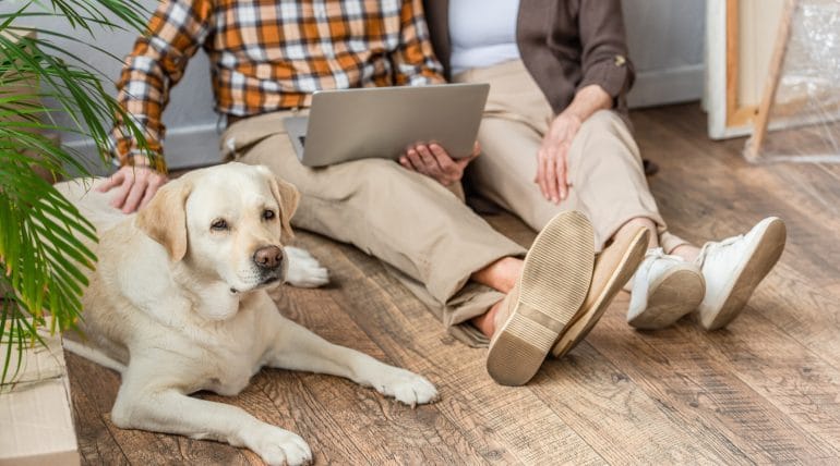Pet-Friendly Flooring